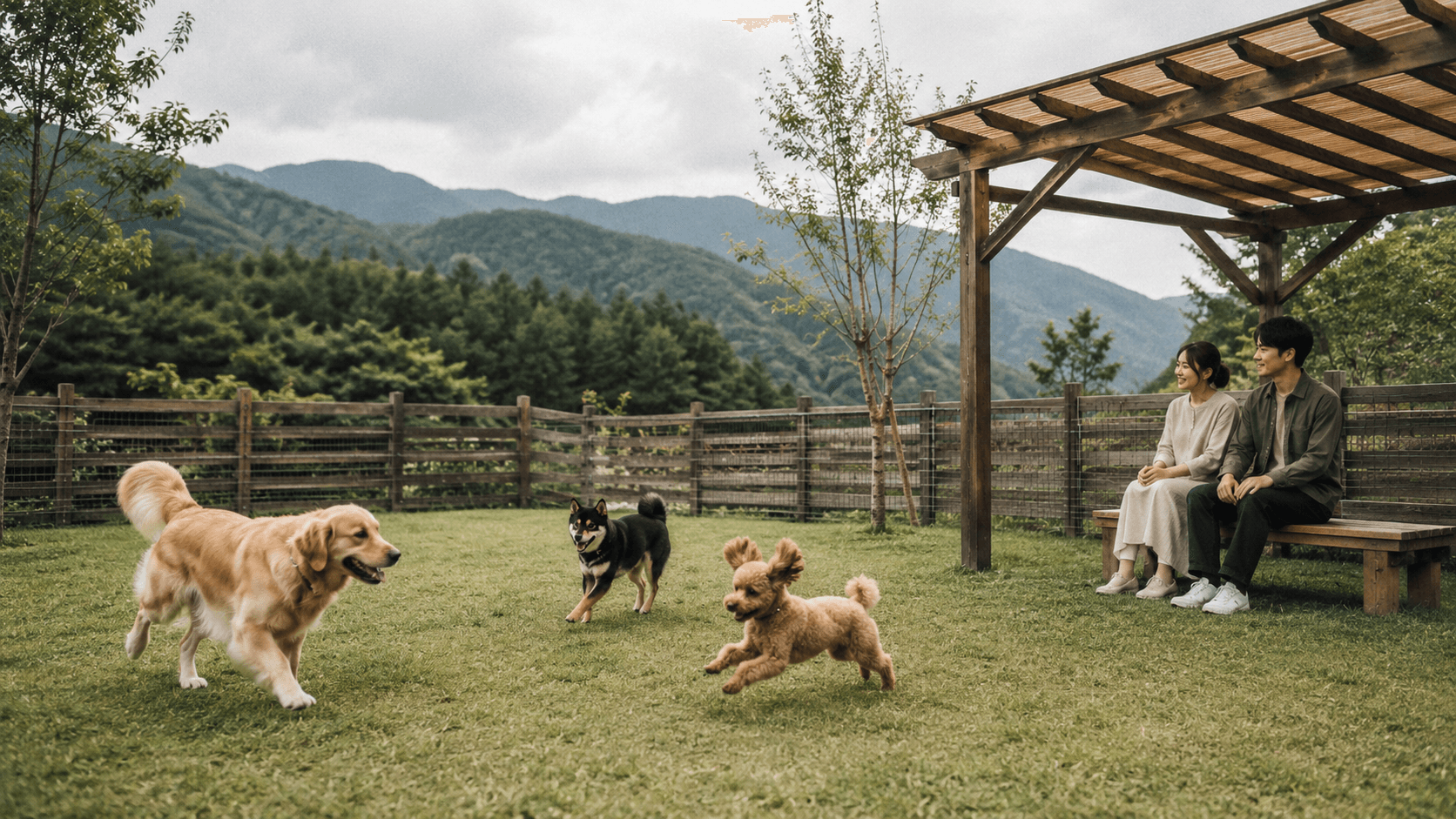 Dogs playing in the Dog Run