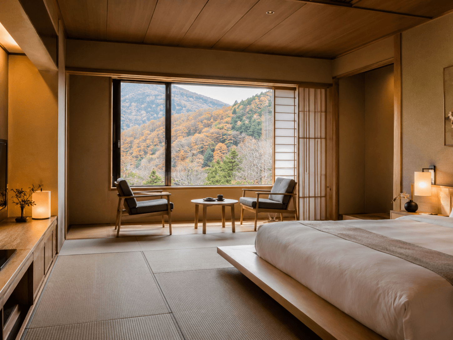 Standard room mountain view